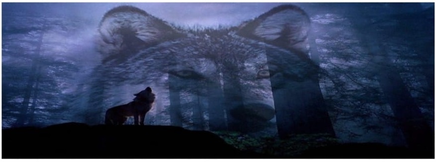 GARA DI PERCORSO TAV LA TANA DEL LUPO